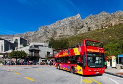 Citysightseeing_city-bus-table-mountain.jpg