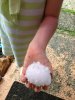 massive hail storm.jpg