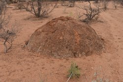 uluru.JPG