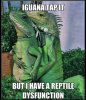 iguana-tap-it.jpg