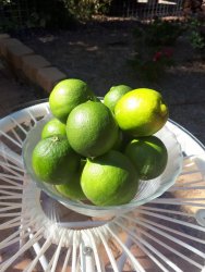 limes.jpg