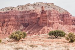 Capitol Reef National Park (7 of 144).jpg