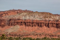 Capitol Reef National Park (26 of 144).jpg