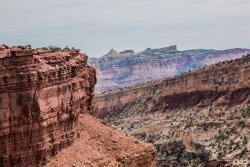 Capitol Reef National Park (33 of 144).jpg