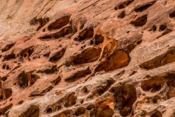 Capitol Reef National Park (131 of 144).jpg