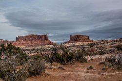 Canyonlands National Park Arizona (3 of 273).jpg