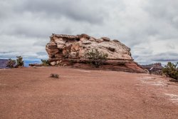 Canyonlands National Park Arizona (29 of 273).jpg