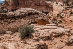 Canyonlands National Park Arizona (78 of 273).jpg