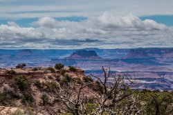 Canyonlands National Park Arizona (273 of 273).jpg