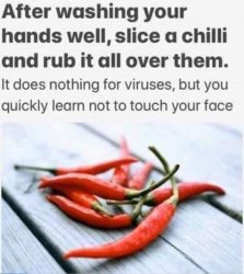 chilli.jpg