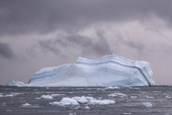 UltimateAntarctica&Patagonia_Voyage3_2020_Photograph_15.jpg