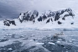 UltimateAntarctica&Patagonia_Voyage3_2020_Photograph_50.jpg