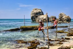 2020 Sri Lanka Stilt Fishermen00003.jpeg