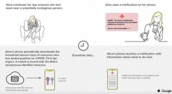 apple-google-contract-tracing-800x441.jpg