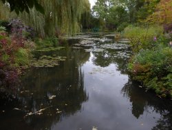 Water lilies, Giverny.jpg