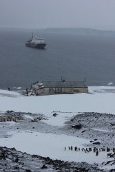 Scotts Terra Nova hut.jpg