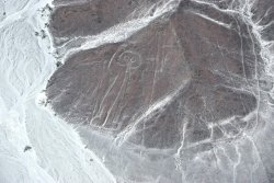 2014-02-04_11_DSC_0201_Astronaut_Nazca Lines Tour_Paracas.JPG