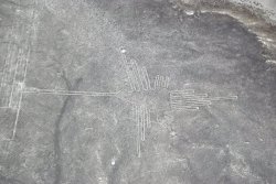 2014-02-04_14_DSC_0215_Humming Bird_Nazca Lines Tour_Paracas.JPG