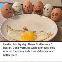 eggs.jpg