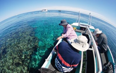 Eco Abrolhos Day 2 (175)-1.jpg