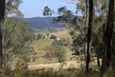 Dungog walk.JPG