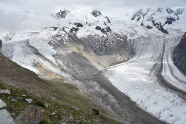 16-81_marmot_gornergletscher.jpg