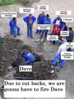 dave.jpg