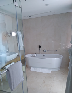 Bathroom 19.06.22 (1).png