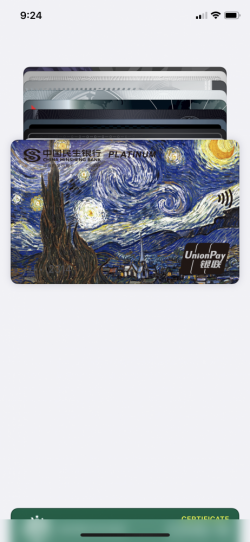 Starry Night CC.PNG