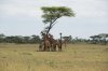 201408-Africa-648.jpg