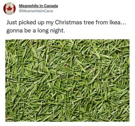 meanwhile-in-canada-memes-63907096243d8__700.jpg