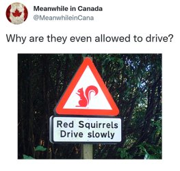 meanwhile-in-canada-memes-63908b7b4af99__700.jpg