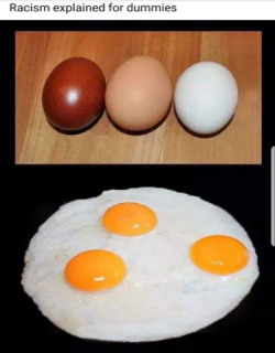 eggs.png