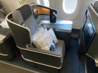 SAS-Business-Class-A350-11.jpeg