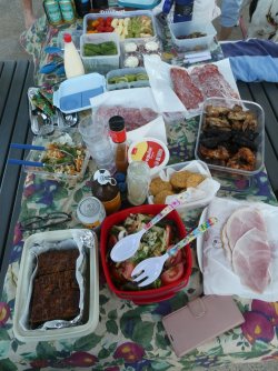 picnicdogbeach2.JPG