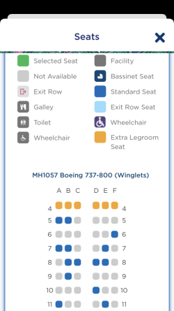 MH 737 Y new.PNG