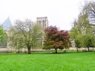 York Minster from park.JPG