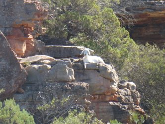 kalbarri18.jpg