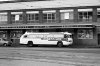 Airport bus Ansett ANA.jpg