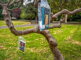 Book Tree.jpg