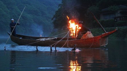 Cormorant Fishing.jpg