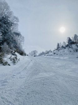 Shiga Kogen 6.jpg