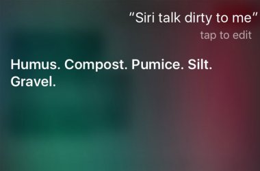 funny-things-to-ask-siri-46-5ca6ed1d4c0ea__700.jpg