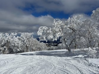 Nozawa 17.jpg