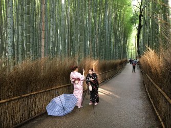 Kyoto 2017 1.JPG