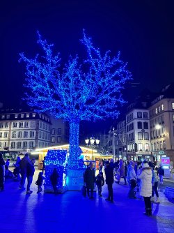 Strasbourg 10 Dec 24 (74).JPG