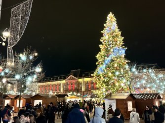 Strasbourg 10 Dec 24 (103).JPG