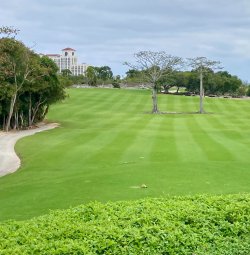 17th short par 4 tee view of goal posts.JPG