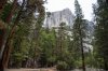 20150515- Yosemite-164.jpg