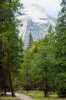 20150514- Yosemite-97.jpg
